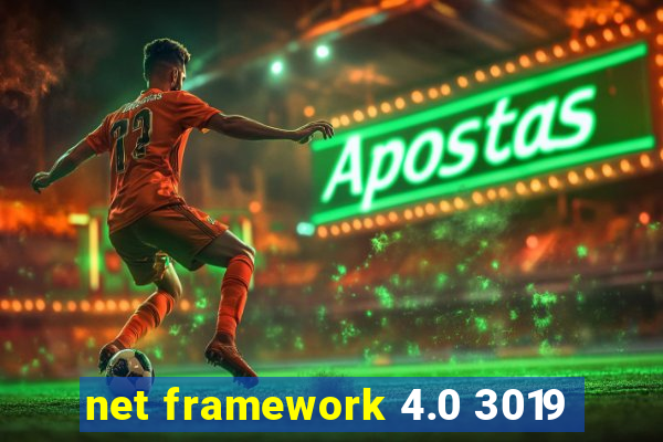 net framework 4.0 3019